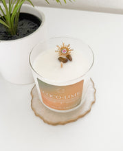 Load image into Gallery viewer, Coco-Lime