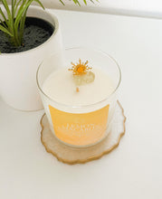 Load image into Gallery viewer, Lemon Macaroon