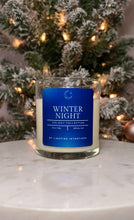 Load image into Gallery viewer, Winter Night